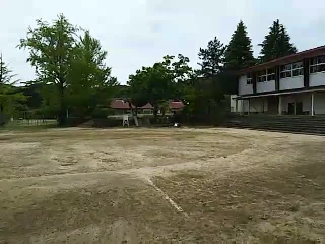 校庭のあるじ(広畑チャンネル)
