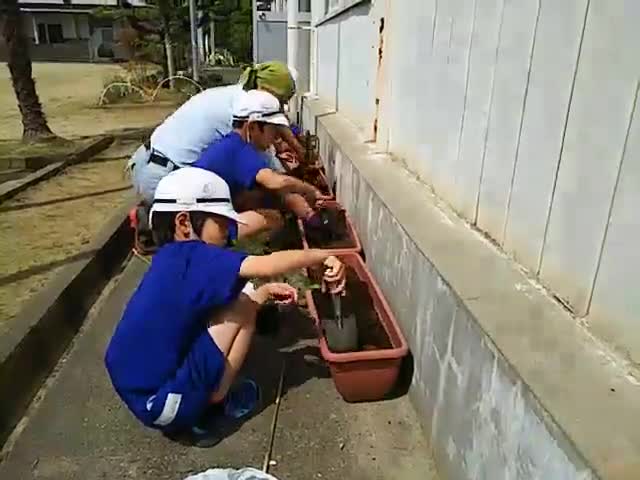 トマトを植えます(広畑チャンネル)