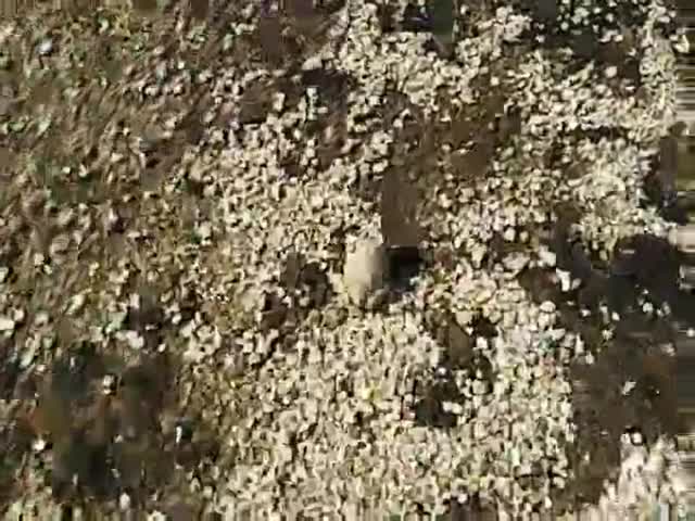 校庭にお客様(広畑チャンネル)