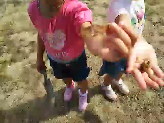宝自慢