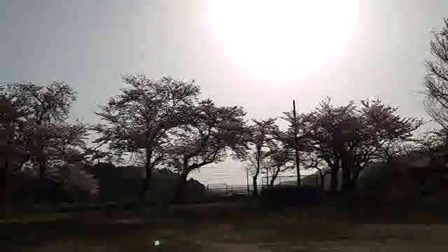 のどけからまし（広畑チャンネル）