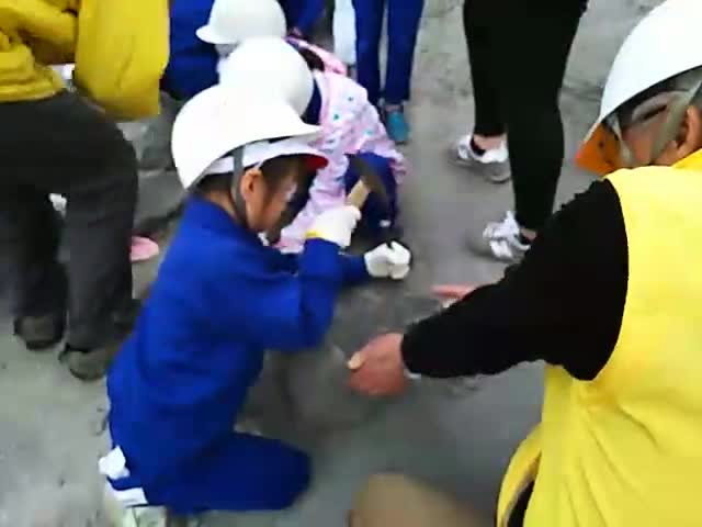 アンモナイト発見(広畑チャンネル)