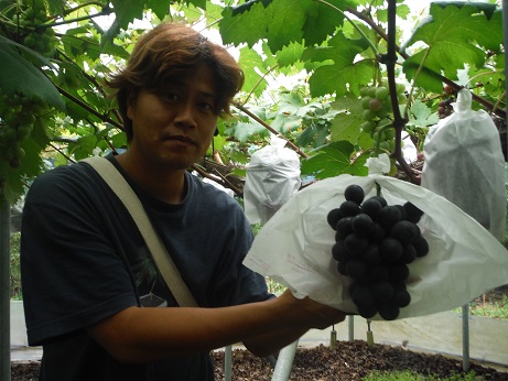 葡萄の里の植野さん 葡萄の里の植野さん
