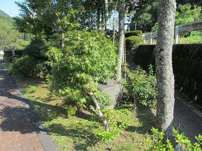 ９月２２日の紅葉