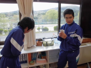 授業の様子 授業の様子