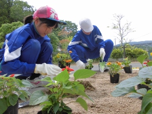 植え替え作業中 植え替え作業中