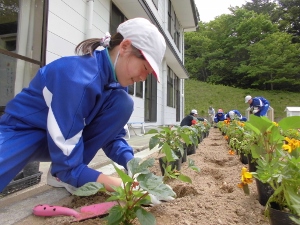 植え替え作業中