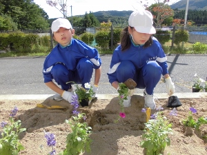植え替えの様子 植え替えの様子