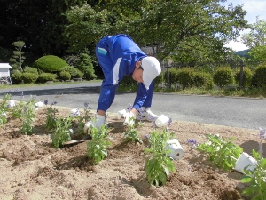植え替えの様子 植え替えの様子