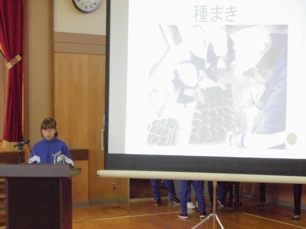 発表の様子 発表の様子