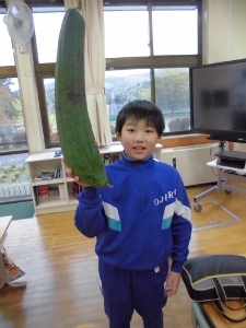 ギガヘチマ! ギガヘチマ!