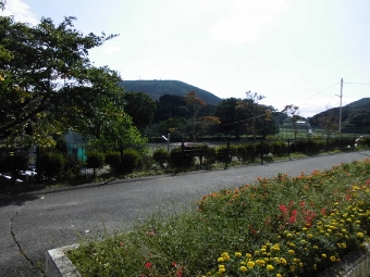 いい天気♪