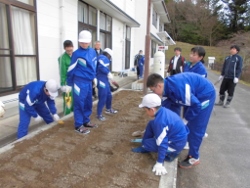 球根植え4 球根植え4