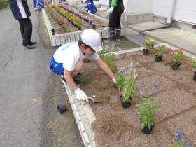 どんどん植えます。 どんどん植えます。