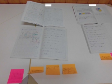 展示の様子