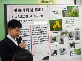 発表の様子