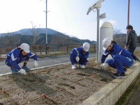 作業の様子 作業の様子