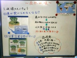 発表ボード１